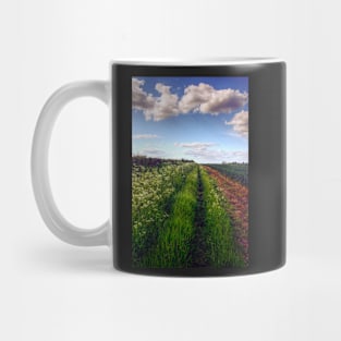 Rural Field Path Mug